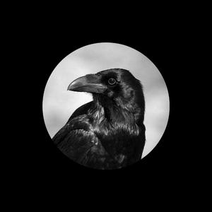 青少年gαy洗澡互吃鳮
